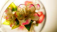 https://images.plurk.com/4Oo2lkG3yL6q4Kj966KxAG.jpg