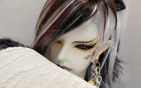 https://images.plurk.com/4OqZI15XY5fqUp7mhDfv3e.jpg