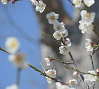 https://images.plurk.com/4OxvtA6RjNGl3UbBrIWSYn.jpg
