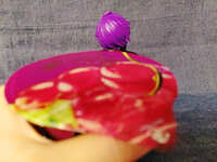 https://images.plurk.com/4PACRWndAombgLtT6q2Jfw.jpg