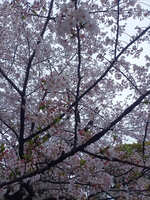 https://images.plurk.com/4PJ5BLXlvdQMJ88CntVHgk.jpg