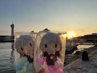 https://images.plurk.com/4PMbZ4JvBrou2cRO3c99G9.jpg