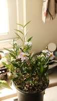 https://images.plurk.com/4PVqeetsyvtAdFtto6ZIdB.png