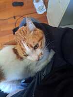 https://images.plurk.com/4Pcx1fzPsYBVLxKpBfyUXC.jpg
