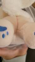 https://images.plurk.com/4Pf3sDGNT5EYwU2D0aQQtW.jpg