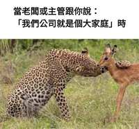 https://images.plurk.com/4PhikCHBnx0LpKrXWcOWH4.jpg