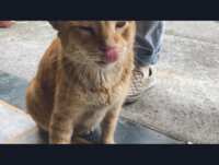 https://images.plurk.com/4PqU7oAzD5eEoNX05aJUUM.png