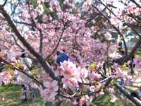 https://images.plurk.com/4PrbI9tG7EvqtXRKInER6d.jpg