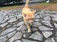 https://images.plurk.com/4Q2xMQwl9nZ9Tw07HeHzUO.jpg
