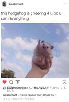 https://images.plurk.com/4Q8Yf7EyS2cIhTOHq7S7vZ.png