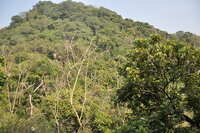 https://images.plurk.com/4Q8onzPK8Bsc2gOiBXYaHH.jpg