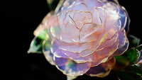 https://images.plurk.com/4QIeMn3iyfPhPmHBMzePce.jpg