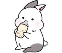 https://images.plurk.com/4QPRx4U7C7yaADJgg0xS7C.png