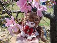 https://images.plurk.com/4QWHVw4KVy8iDmQL4Ac1hG.jpg