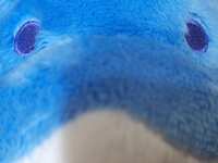 https://images.plurk.com/4QXd3jQ4qvXAirthvUJjg5.jpg