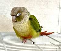 https://images.plurk.com/4QZhDvM1kksPLHPBO6z2fU.jpg