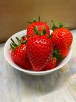 https://images.plurk.com/4QkPMBC2UvL63fcFT4UZlg.jpg