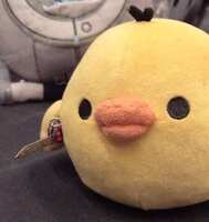 https://images.plurk.com/4QrLJtNRdTp2GIPXWrYi1t.jpg