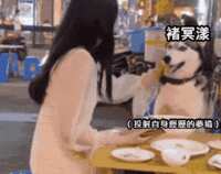 https://images.plurk.com/4QtpB4YDmUrdAbiHocffcQ.gif