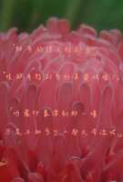 https://images.plurk.com/4R1lraOdY173kuxUXDg67b.jpg