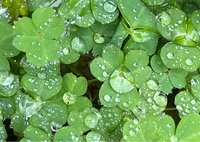 https://images.plurk.com/4RBY9zDQMpBSihmN5TADm8.jpg
