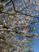 https://images.plurk.com/4RGd1sOAAPUfyBDpdhtpk8.jpg