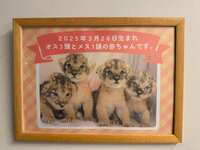 https://images.plurk.com/4RJ9W5k2S0ybusdIBdGGZ3.jpg