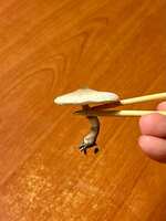 https://images.plurk.com/4RPFr2blDTq054mfaoCbq9.jpg