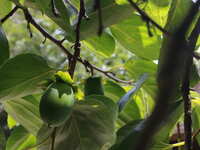 https://images.plurk.com/4RgvdxRjatVl6CBMCaBlwV.jpg