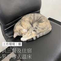 https://images.plurk.com/4RkcqgCRdFbc68fgdmacF7.jpg
