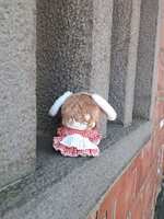 https://images.plurk.com/4RnNG69sa2n7LWajo2Dn9t.jpg