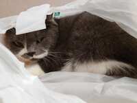 https://images.plurk.com/4RnjzqcxVZfH7n7NVfqhb.jpg