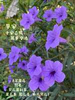 https://images.plurk.com/4Rp6Ew92q3UDmxOHaDzg65.jpg