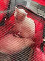 https://images.plurk.com/4RsO1UpHHUvctk9PFTPYSq.jpg