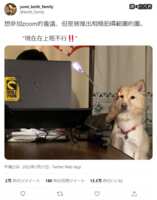 https://images.plurk.com/4S5l4LT7lU7lxIJQFByaFH.png