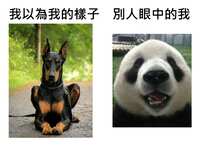 https://images.plurk.com/4SCrxTBQb3ZtQIf2A8VSgO.png