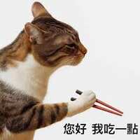 https://images.plurk.com/4SQoPANEU1nAG4NVNwzj4W.jpg