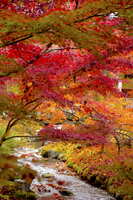 https://images.plurk.com/4SbjTNJLBvN4jLMU5r6OdN.jpg