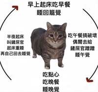 https://images.plurk.com/4SpGWG4ekXFD9Np114V5Rb.jpg