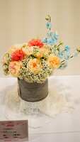 https://images.plurk.com/4Sr46GKdw4Bc7LwK4AgoFz.jpg