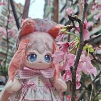 https://images.plurk.com/4SyvOaae1xwMMPurocyKFt.jpg