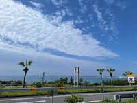 https://images.plurk.com/4T1jh4x4pNkrk7MoOdfWfz.jpg