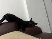 https://images.plurk.com/4T34OV61KQE4AKKMAy2Mml.jpg
