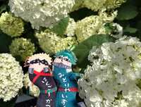 https://images.plurk.com/4T3LFGBoHQ8qTQ1sa8jBXH.jpg