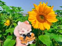 https://images.plurk.com/4T3YH03AJSfalLb8zyuJ6f.jpg