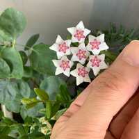 https://images.plurk.com/4T67LN4d27QZ0nx6t56l9L.jpg