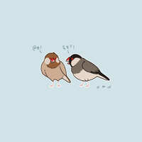 https://images.plurk.com/4TC7G0GlcdhOErseBpSOXQ.jpg