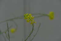 https://images.plurk.com/4TEffNdq1BM0xJYSIh5weE.jpg