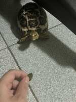 https://images.plurk.com/4TG7hrsU3JJzR5SofYcrQL.jpg