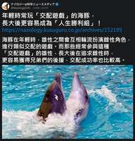 https://images.plurk.com/4THtBwrvc1oYE5XPq12BnZ.jpg